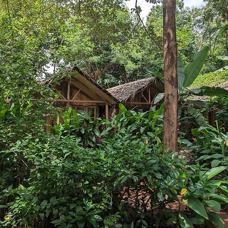Backyard Hostel 莫希 外观 照片