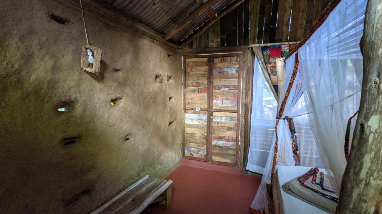 Backyard Hostel 莫希 外观 照片