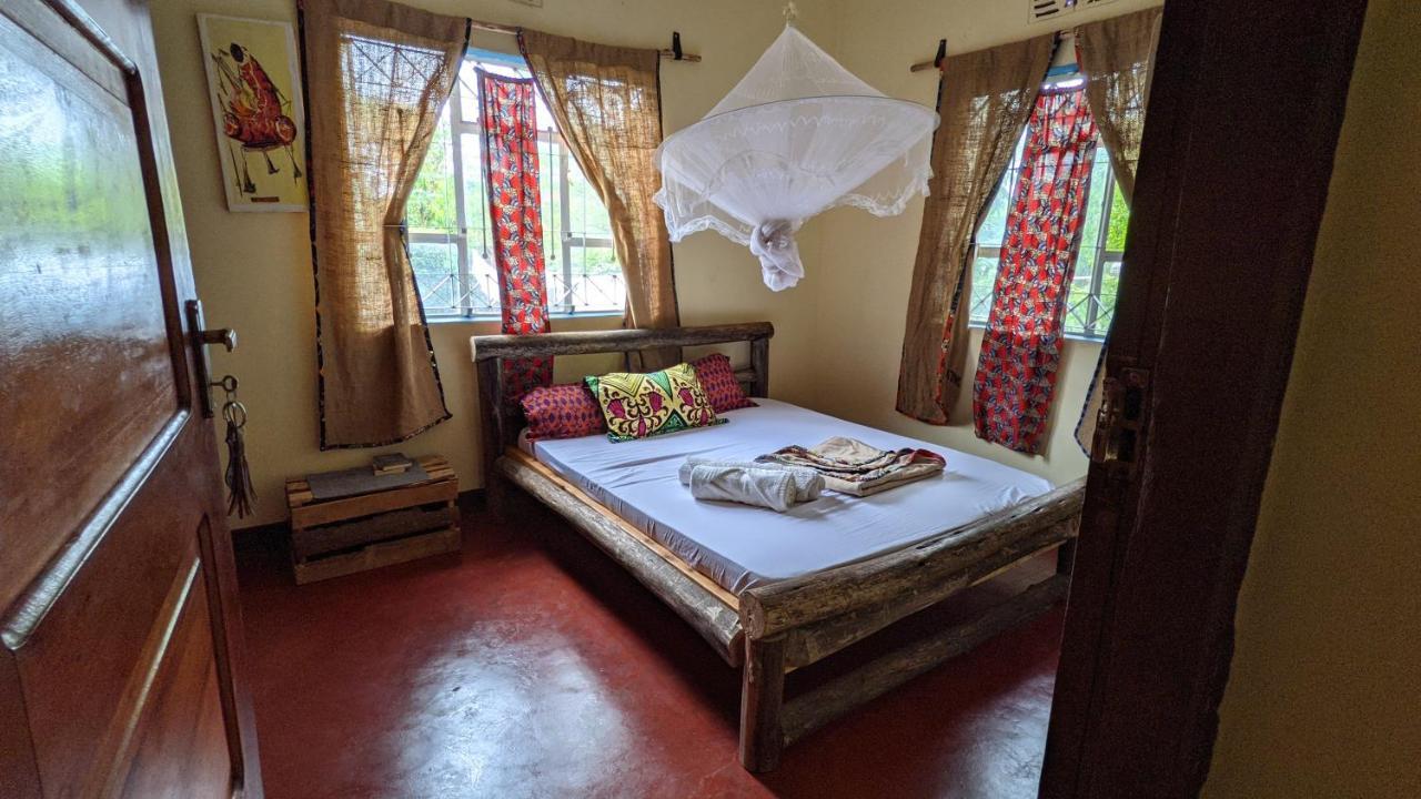 Backyard Hostel 莫希 外观 照片