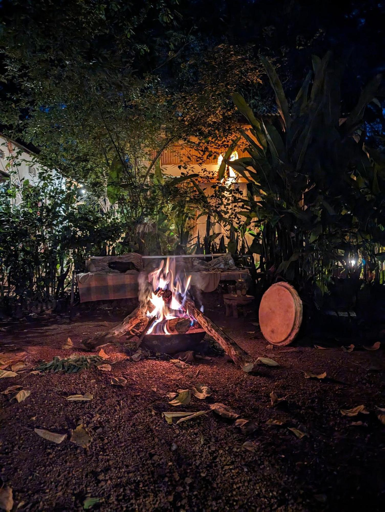 Backyard Hostel 莫希 外观 照片