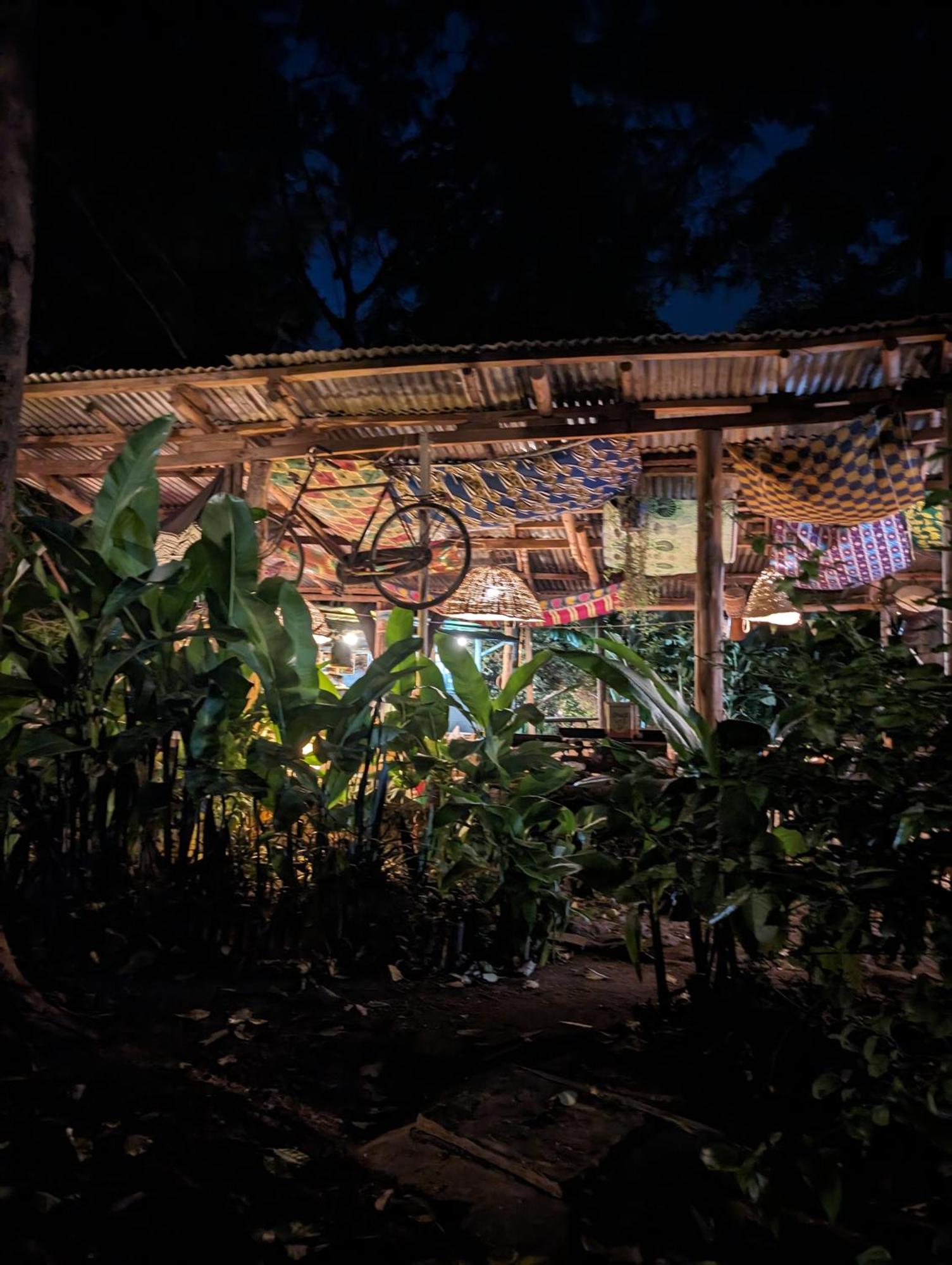 Backyard Hostel 莫希 外观 照片