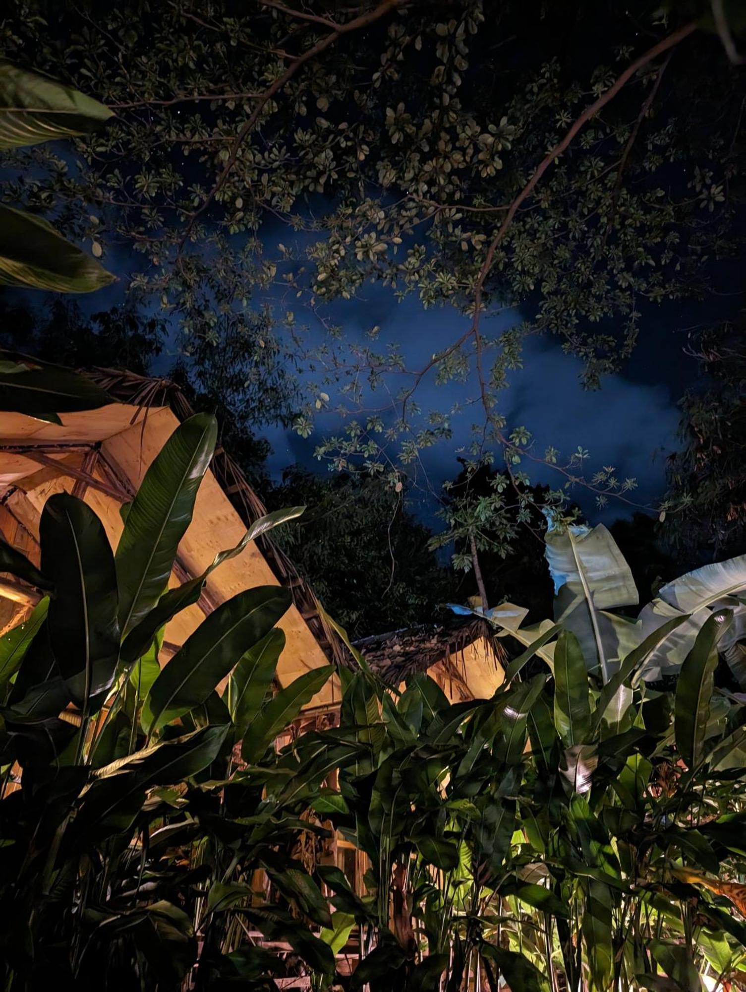 Backyard Hostel 莫希 外观 照片