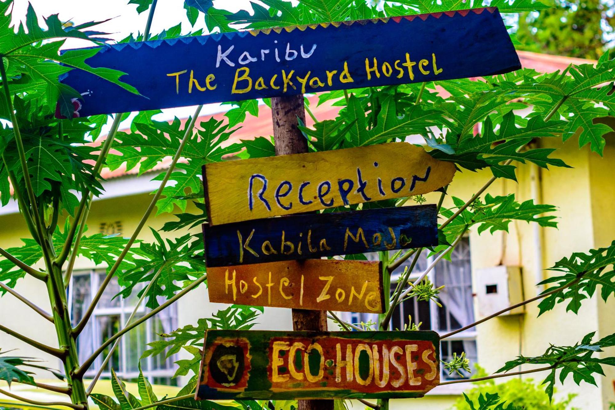Backyard Hostel 莫希 外观 照片