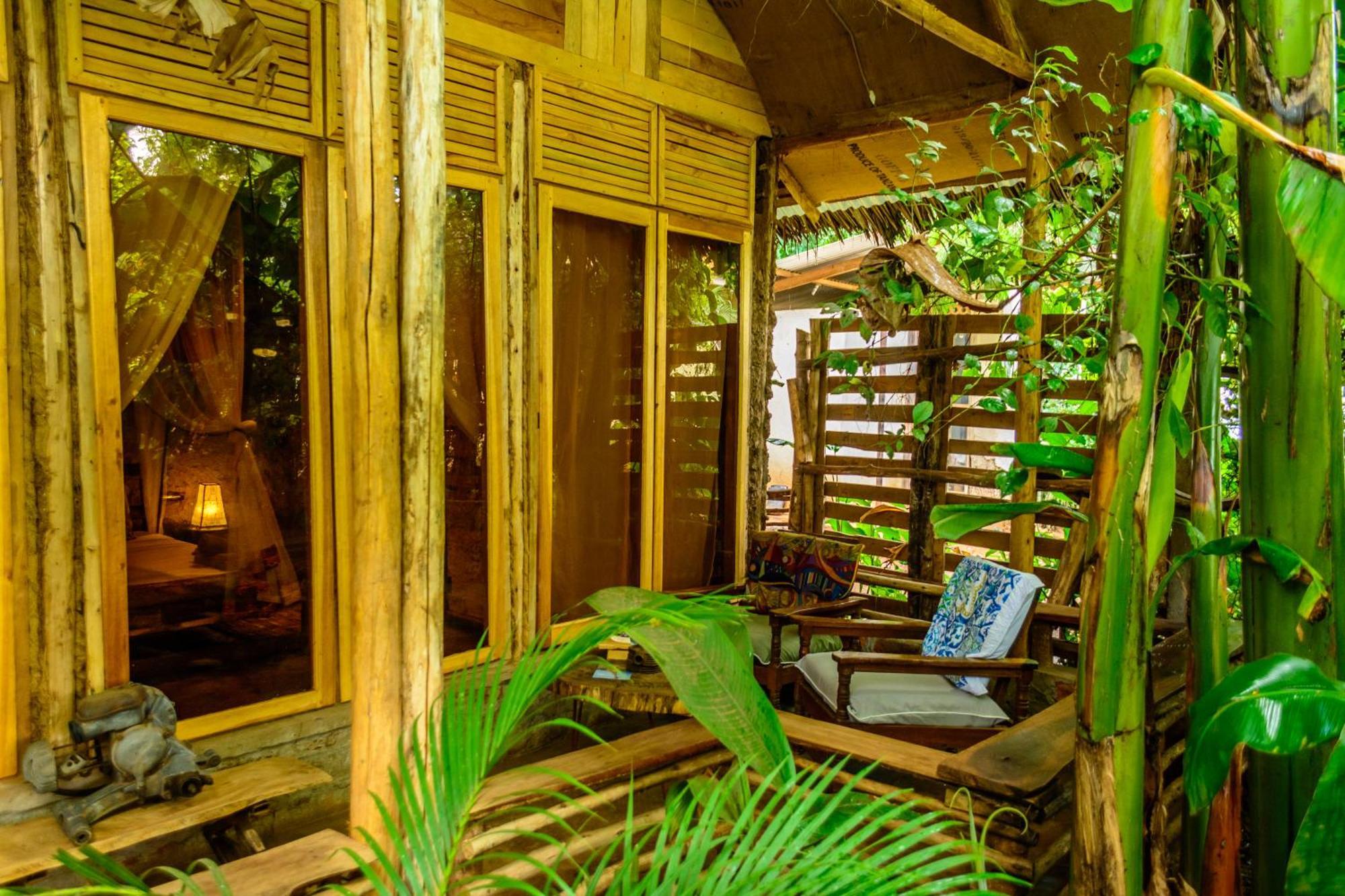Backyard Hostel 莫希 外观 照片