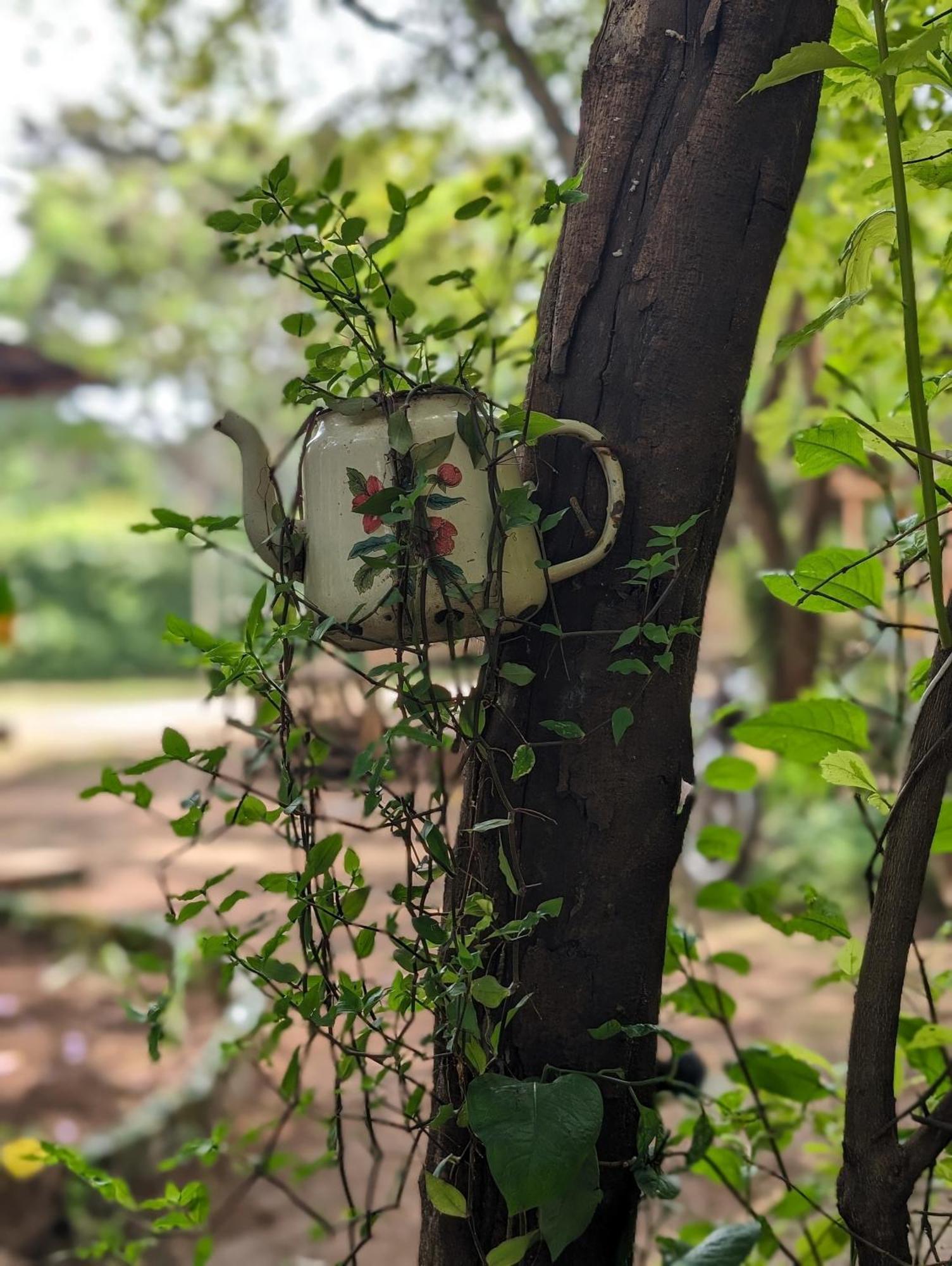 Backyard Hostel 莫希 外观 照片